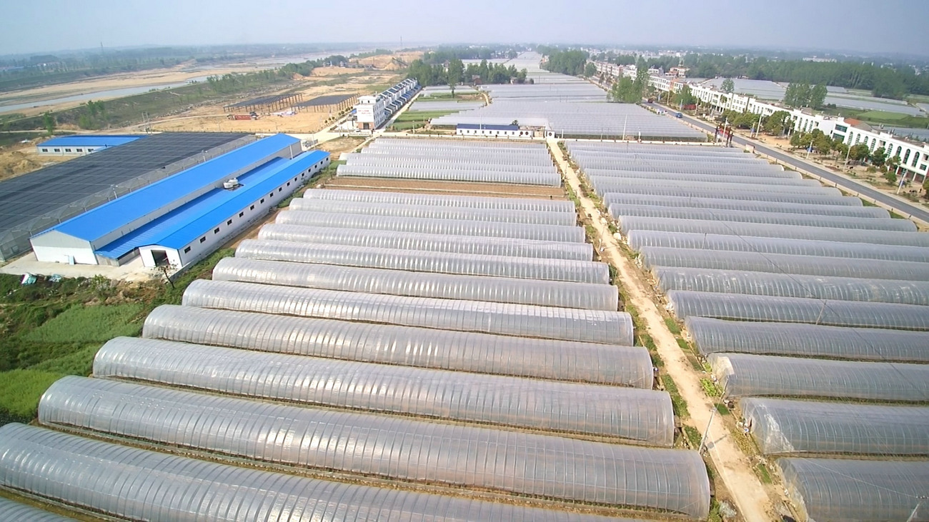 Flame retardant AP1030 series